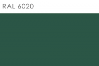 6020